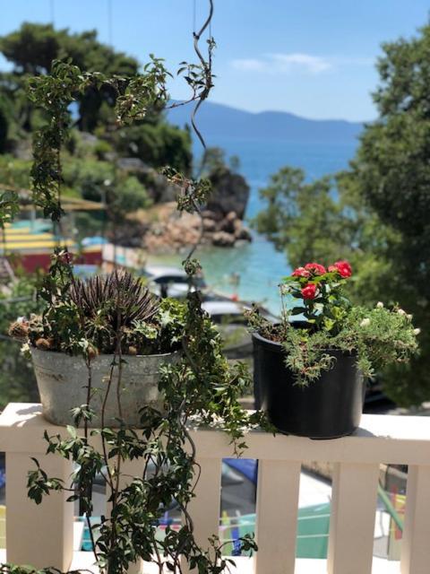 Villa Bosac Gradac  Bagian luar foto